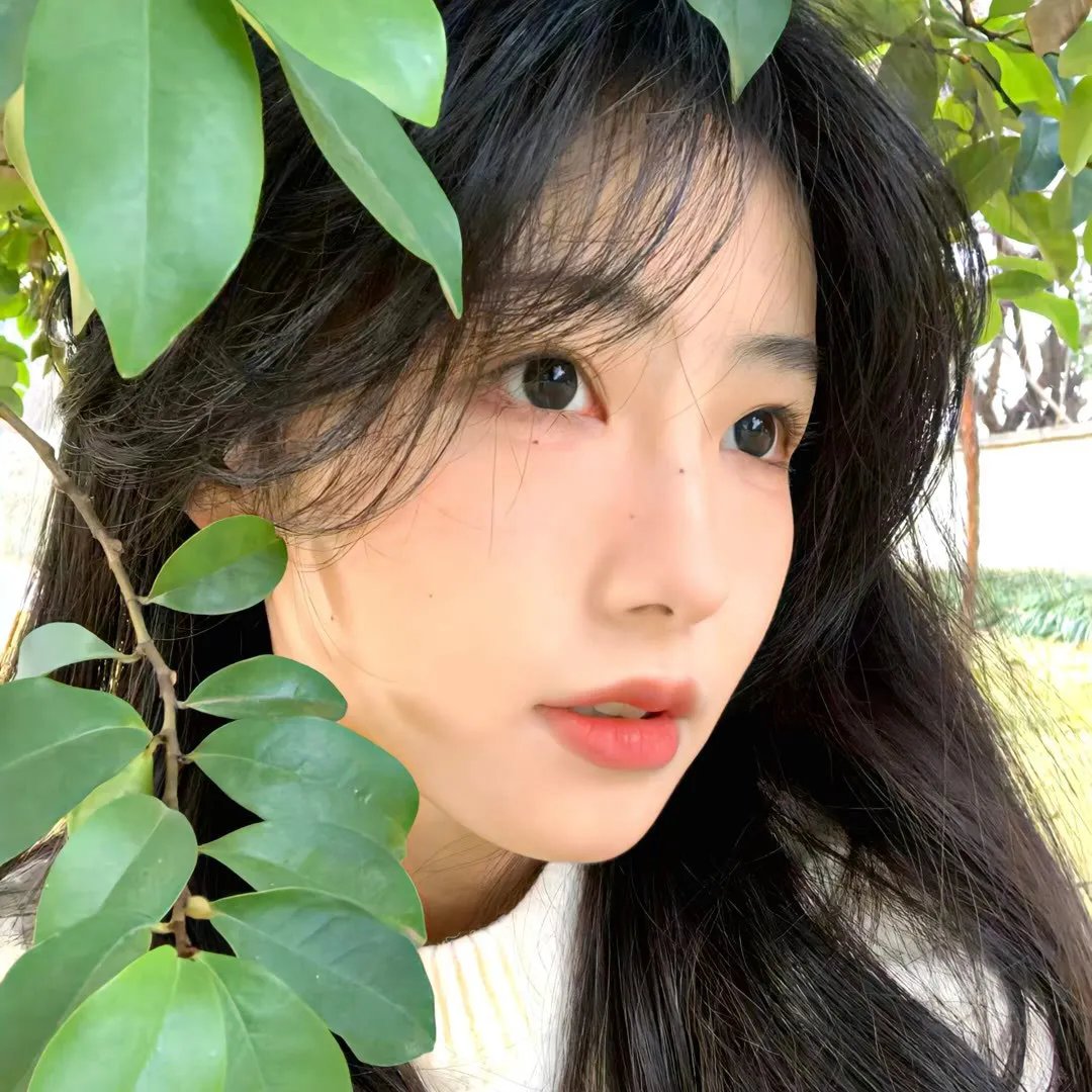 桥洞的诅咒