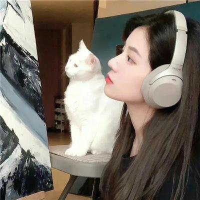 杀人网路