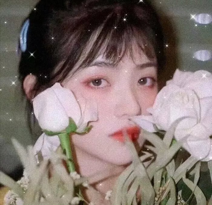 恋恋星辰